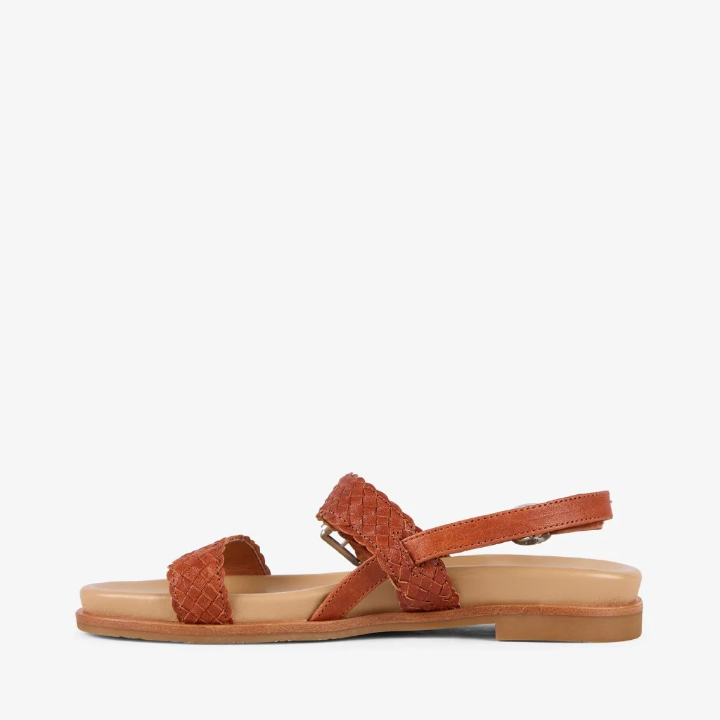 Hyams Donna tan - Image 5